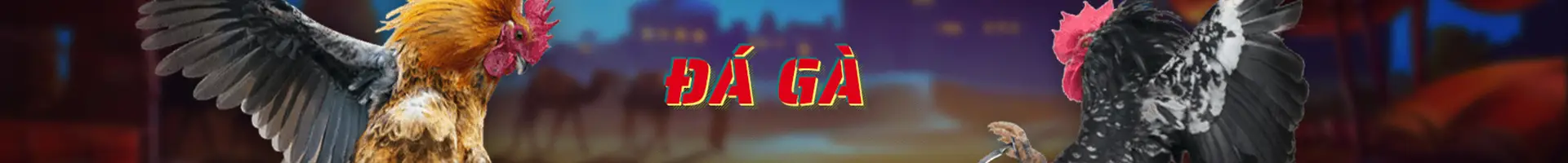 Đá Gà tại Hello88 Vina – Trận đấu thực chiến, cược thật, thắng thật